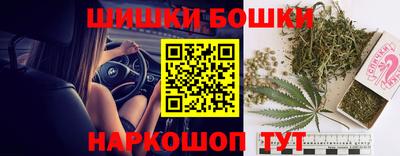 прущие грибы Абинск