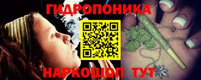 apvp Братск