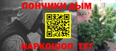 прущие грибы Абинск