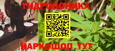СК Брянск