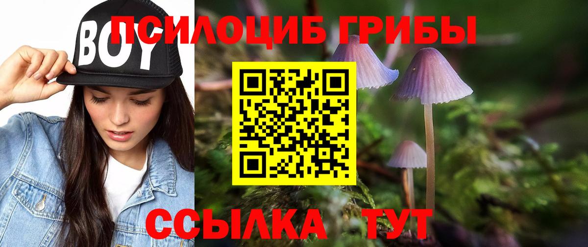 Галлюциногенные грибы Cubensis  Галлюциногенные грибы ЛСД  Рассказово  Вход с VPN 